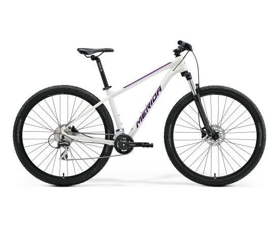 Merida Big Nine 20-2X / Pelēka / Sudraba / 22" / XXL