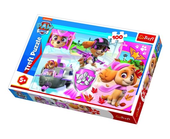 TREFL PAW PATROL Пазл Paw Patrol, 100 шт.