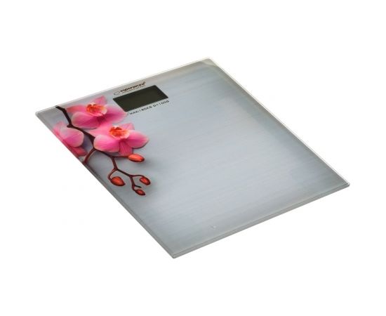 Esperanza EBS010 personal scale Electronic personal scale