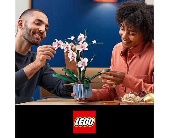 LEGO 10311 Creator Orhideja būvēšanas komplekts