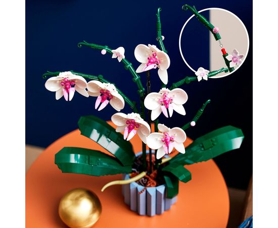 LEGO Creator Botanicals Collection Orchidee 10311