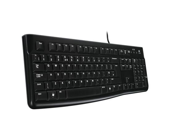 Logitech K120 Multimedia, Keyboard layout EN/RU, USB Port, 1.5 m, Black, Russian, Numeric keypad, 550 g