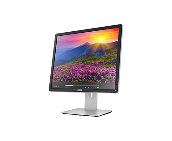 Dell Professional P1917S 19.0 ", Anti-glare, HD, 1280x1024 pixels, LED, IPS, 6 ms, 250 cd/m², Black