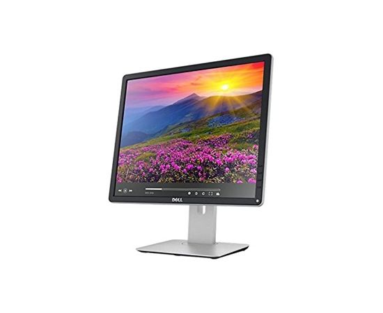 Dell Professional P1917S 19.0 ", Anti-glare, HD, 1280x1024 pixels, LED, IPS, 6 ms, 250 cd/m², Black