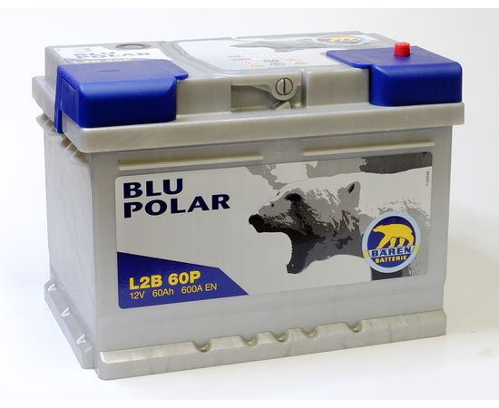 BAREN BLU POLAR 60Ah 600A Akumulators 242x175x175-+