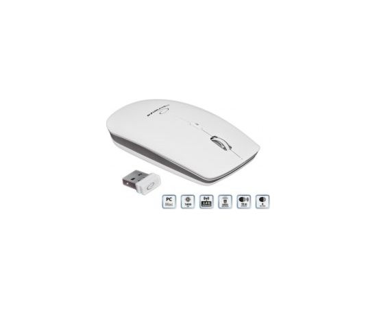 Esperanza EM120W mouse RF Wireless Optical 2400 DPI