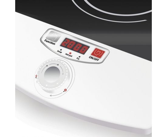 ELDOM PI100 induction cooker