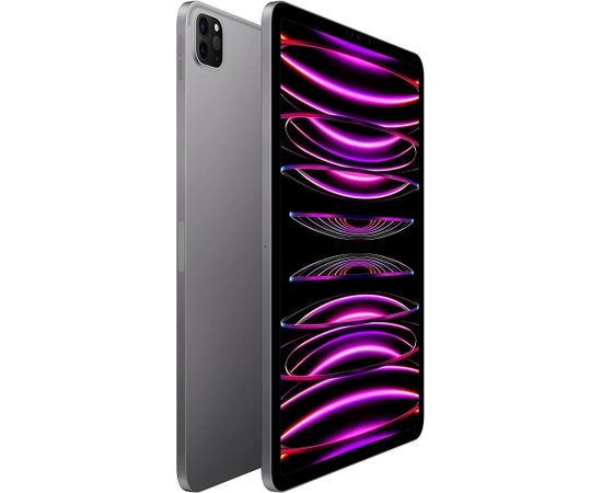 Apple iPad Pro 11" (512 GB), tablet PC (grey, Gen 4 / 2022) Planšetdatori