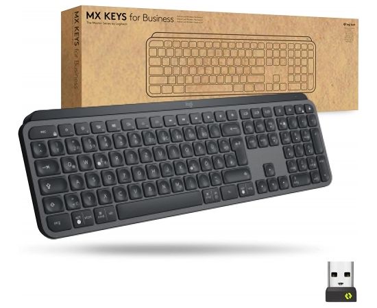 DE layout - Logitech MX Keys for Business, keyboard (graphite)