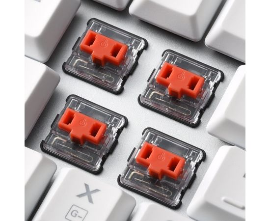 Sharkoon PureWriter TKL RGB, gaming keyboard (white, US layout, kailh choc low profile red)