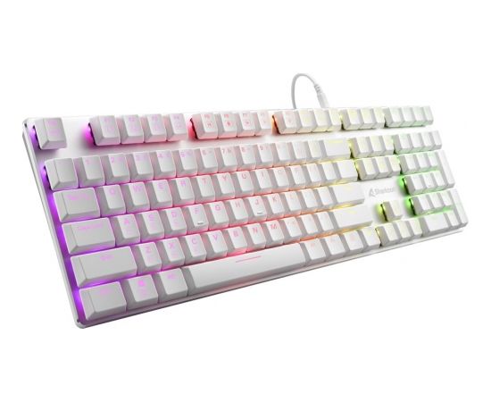 Sharkoon PureWriter RGB, gaming keyboard (white, US layout, kailh choc low profile blue)