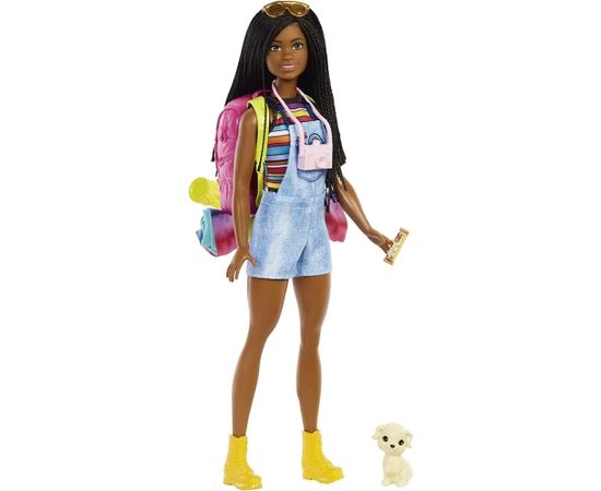 Mattel Barbie It takes two! Camping playset - Brooklyn doll, puppy and accessories