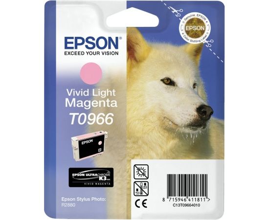 Epson Ink HMG T0966