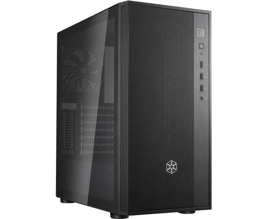 SilverStone FARA R1 V2, tower case (black, tempered glass)