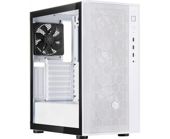 SilverStone FARA R1 V2, tower case (white)