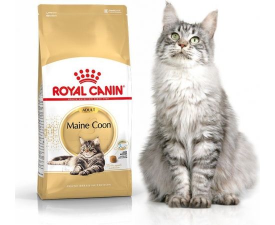 Royal Canin Maine Coon Adult karma sucha dla kotów dorosłych rasy maine coon 0.4kg
