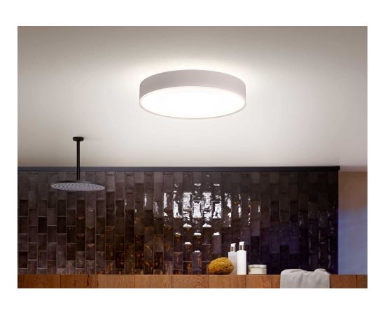 Philips Hue White Ambiance Devere ceiling light, LED light (white)