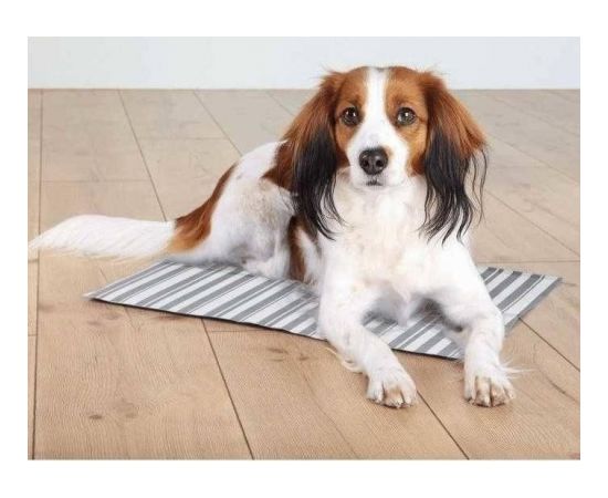 TRIXIE Cooling mat, M: 40 × 50 cm, White/Grey