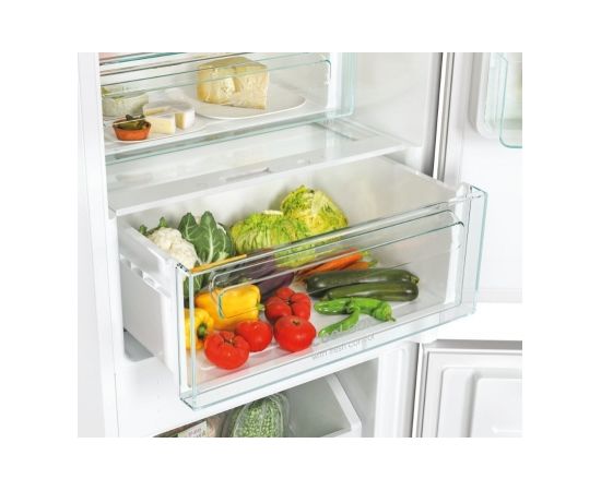 Candy Fresco CBT5518EW fridge-freezer Built-in 248 L E White Ledusskapji, iebūvējami