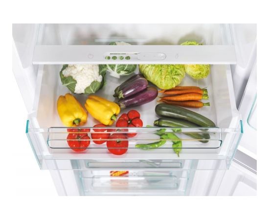 Candy Fresco CBT5518EW fridge-freezer Built-in 248 L E White Ledusskapji, iebūvējami