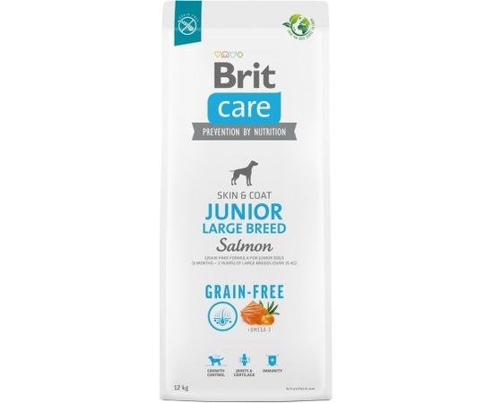 Dry food for young dog (3 months - 2 years), large breeds over 25 kg - Brit Care Dog Grain-Free Junior Large salmon 12kg