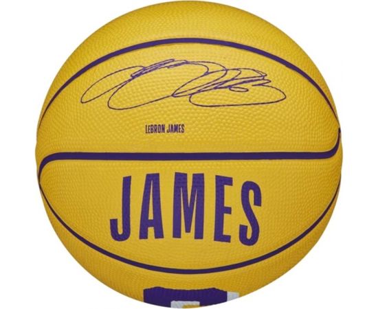 Ball Wilson NBA Player Icon Stephen Curry Mini Ball WZ4007401XB (3)