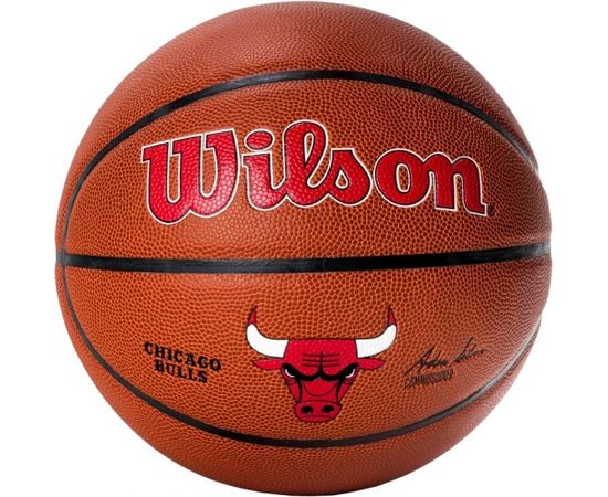 Ball Wilson Team Alliance Chicago Bulls Ball WTB3100XBCHI (7)