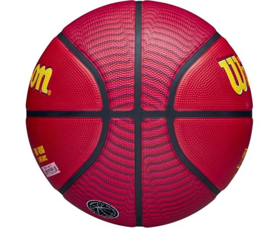 Basketball ball Wilson NBA Player Icon Trae Young Outdoor Ball WZ4013201XB (7)