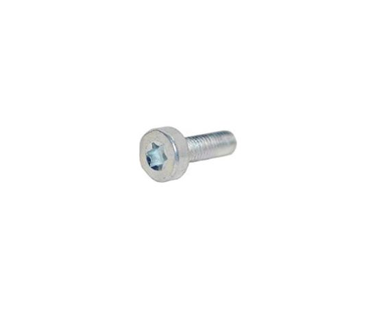 Skrūve TORX 5 CS-420, ECHO