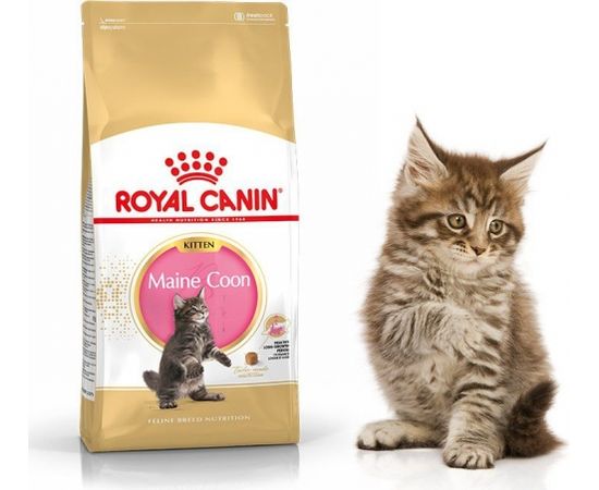 Royal Canin Maine Coon Kitten karma sucha dla kociąt, do 15 miesiąca, rasy maine coon 0.4kg