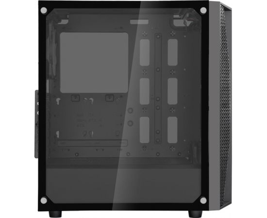 SilverStone FARA B1 RGB, tower case (black, side panel made of tempered glass)