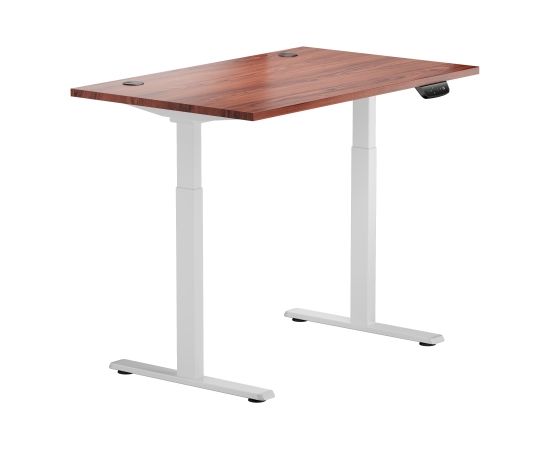 Height Adjustable Table Up Up Bjorn White, Table top M Dark walnut