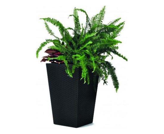 Keter Puķu pods Rattan Planter S 23,6L pelēks