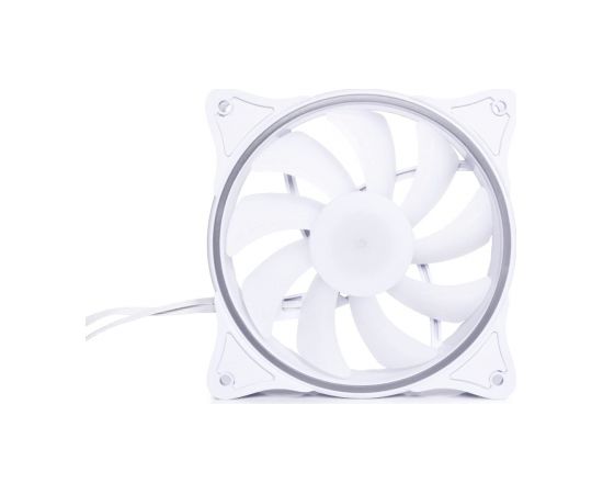 Alphacool Rise Aurora 120mm Fan 120x120x25mm, Case Fan (white)