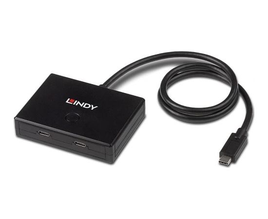 Lindy 2-Port USB 3.2 Gen 1 Type C Switch - bidirectional (black, 60cm)