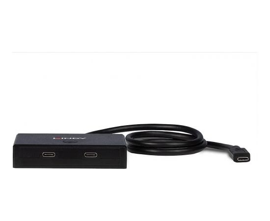 Lindy 2-Port USB 3.2 Gen 1 Type C Switch - bidirectional (black, 60cm)