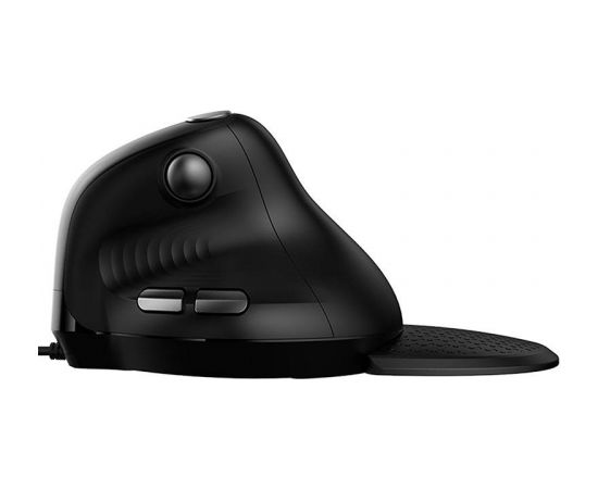 Wireless Vertical Mouse Delux M618XSU BT4.0 + 2.4Ghz 4000DPI RGB