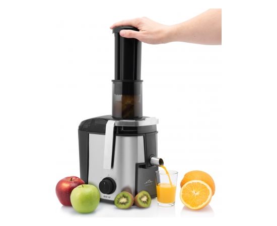 ETA Juicer Fresher II ETA503290000 Silver/Black, 800 W, Number of speeds 2, 19000 RPM