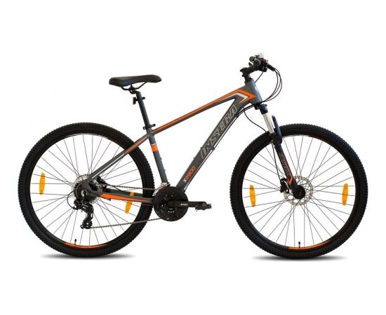 Kalnu velosipēds Insera X2900, 46 cm