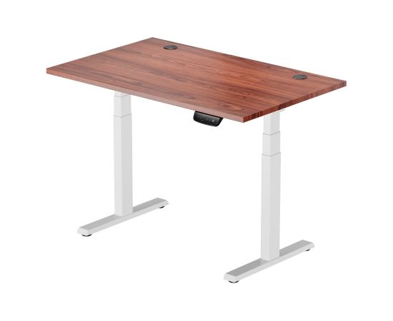 Height Adjustable Table Up Up Thor White, Table top M Dark walnut