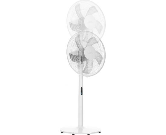 PEDESTAL AND TABLE FAN Sencor SFN4070WH