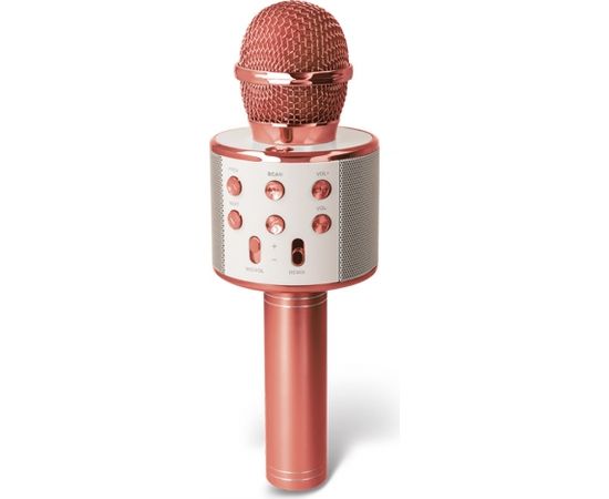 Forever BMS-300 Беспроводной микрофон с колонкой