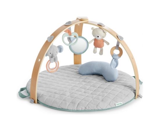 INGENUITY activity gym Cozy Spot, 12126