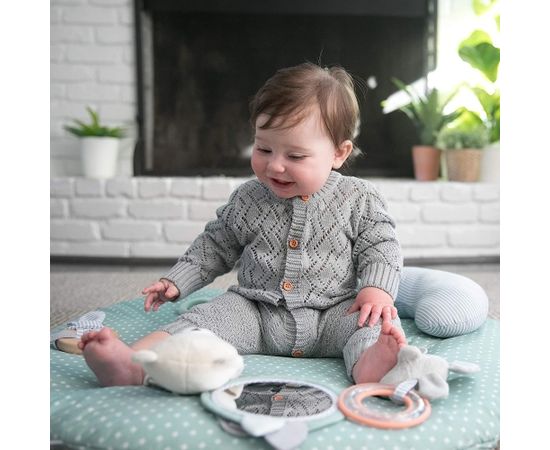 INGENUITY activity gym Cozy Spot, 12126
