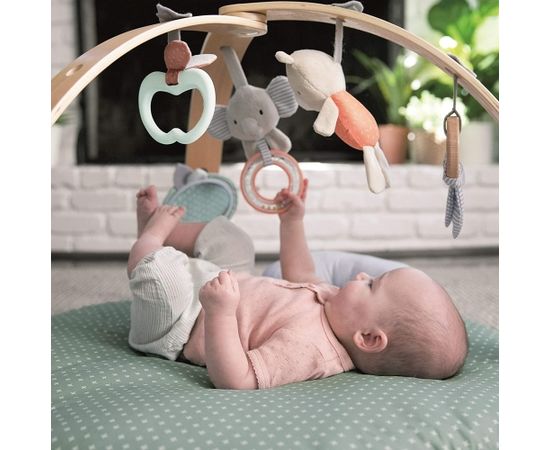 INGENUITY activity gym Cozy Spot, 12126