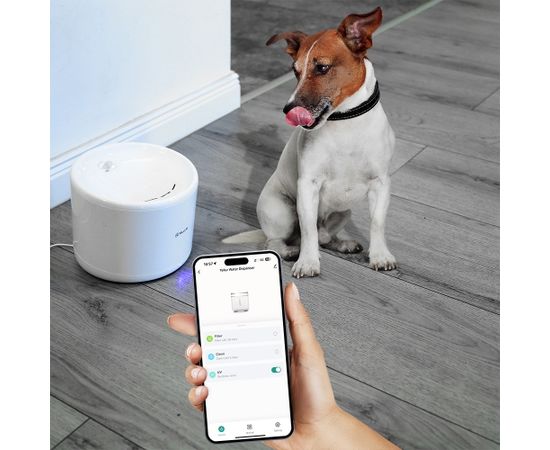 Tellur Smart WiFi Pet Water Dispenser, 2L white