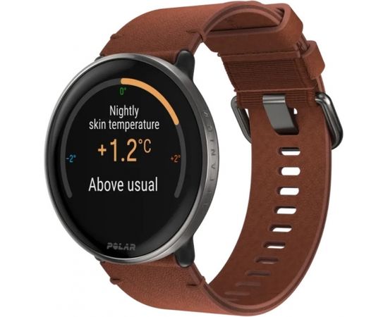 Polar Ignite 3 Titanium S-L, brown