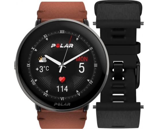 Polar Ignite 3 Titanium S-L, brown