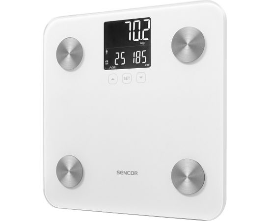 Personal fitness scale Sencor SBS6025WH