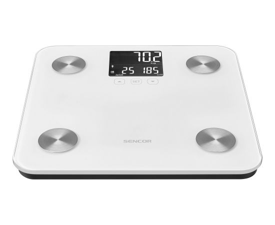 Personal fitness scale Sencor SBS6025WH